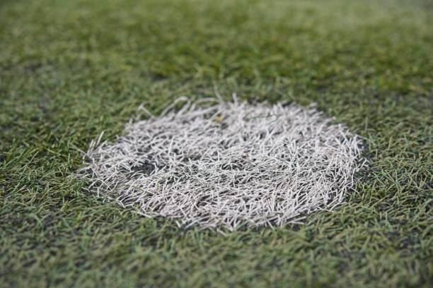 istock football field 1465548733