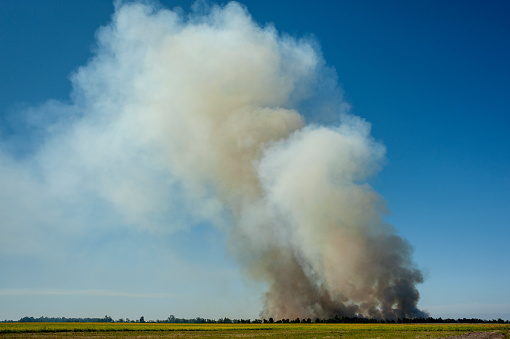 A wide view of lots of smoke from scrub burning in Alabama on a sunny day.