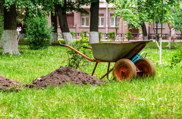 Photo of Garden wheelbarrow for transportation of soil in the suburban area.