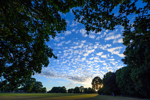 Sunset in Harvington Park, Beckenham, Kent. Small fluffy altocumulus clouds against a blue sky with the setting sun.