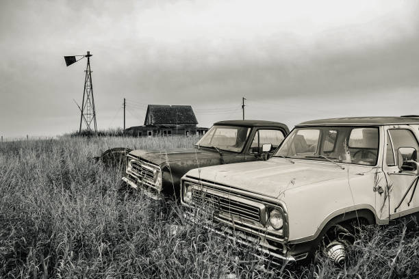 istock Black and white cars in field 1465565057