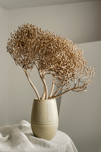 Dried sea kale in a large beige vase on a table covered with un-died raw cotton against a simple background.