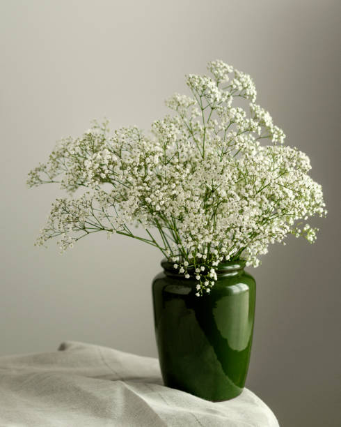 A large bunch of gypsophila (aka baby's breath) in a large green vase sitting on a table covered with raw cotton material against a plain and warm background.