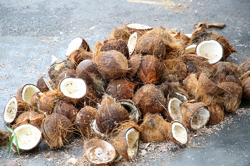 Morning wet market - old coconut