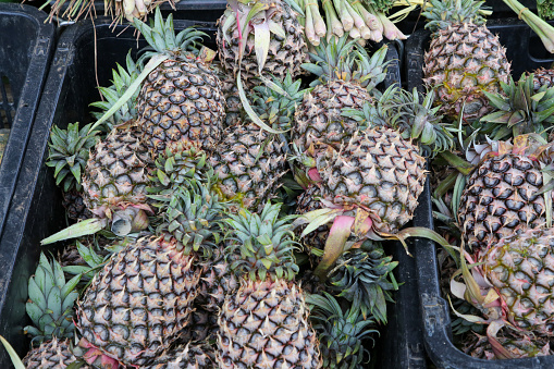 Morning wet market - fresh pineapple