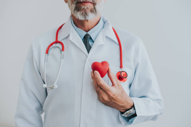 그의 손에 심장을 들고 의사의 초상화 - stethoscope human cardiovascular system pulse trace healthcare and medicine 뉴스 사진 이미지