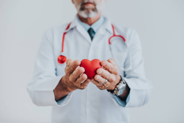 retrato de un médico sosteniendo un corazón en sus manos - chest stethoscope medical exam men fotografías e imágenes de stock