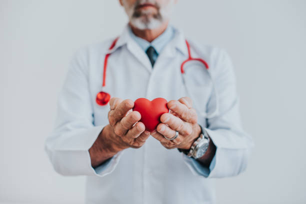 心臓を手に持つ医師のポートレート - human cardiovascular system 写真 ストックフォトと画像