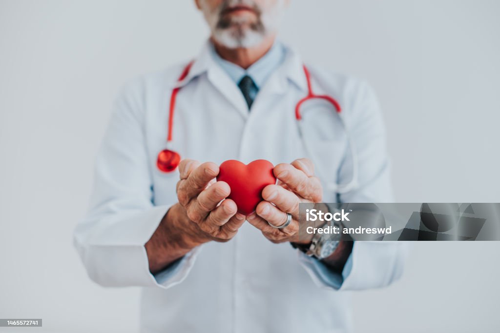 Portrait of a doctor holding a heart in his hands Cardiologist Stock Photo