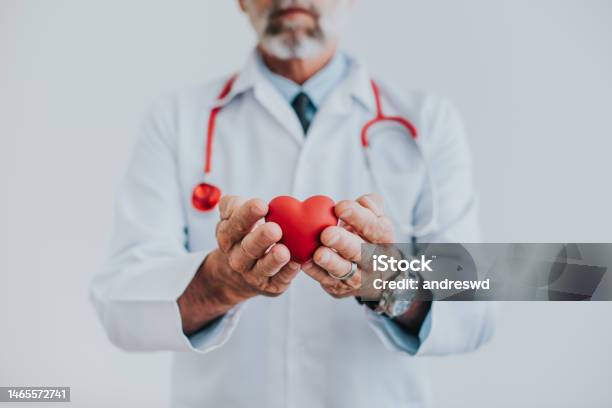 Portrait Of A Doctor Holding A Heart In His Hands Stock Photo - Download Image Now - Cardiologist, Organ Donation, Electrocardiography