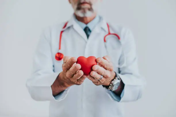Photo of Portrait of a doctor holding a heart in his hands