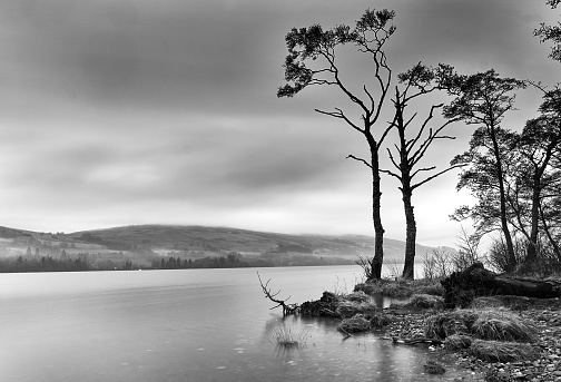 A calm lake in Scotland with some trees and gravel/rocks on the right side. Photographed in black and white.