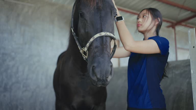 Beautiful girl care feeding her horse.