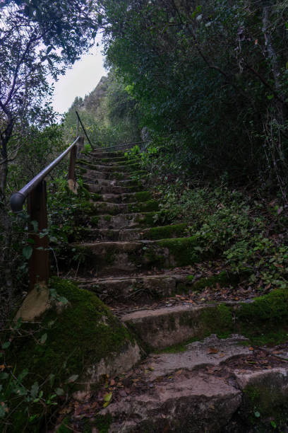 istock Ancient stone staircase covered with moss in the mountains 1465577287