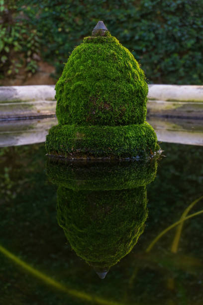 Antique water fountain overgrown with moss
