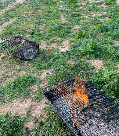 Calçots ( catalan name for a typical type of green onion or scallion) being grilled over a hot fire. Calçots are grilled until charred, wrapped in newspaper to steam, then consumed by peeling off the charred skin usually in events called ‘calçotades’ very popular among families and friends.