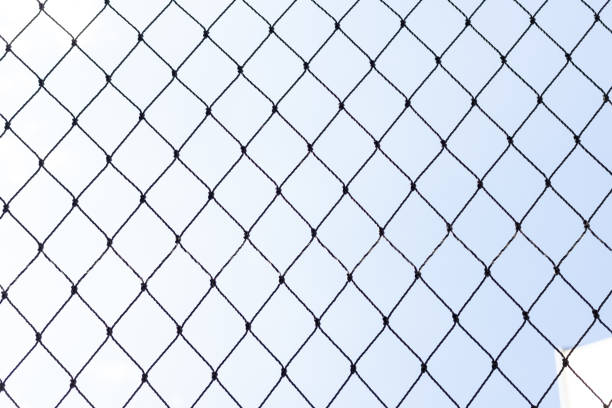 katzenschutznetzgitter texturhintergrund - prison architecture black white stock-fotos und bilder