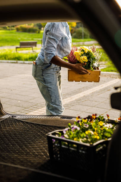 istock Young woman loading crates with potted flowers in her car trunk 1465580291
