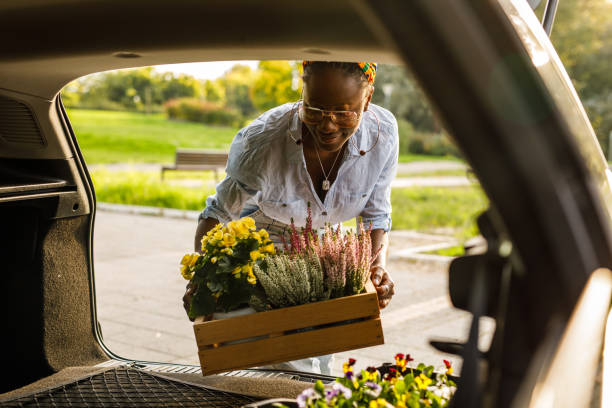 istock Getting her flowers at the curbside pickup, loading it in car trunk 1465580293