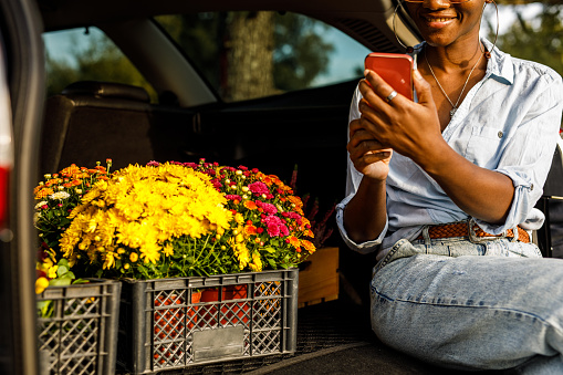 Cut out shot of happy young Black woman sitting in open car trunk, by the crate with potted flowers that she needs to deliver, using smart phone.