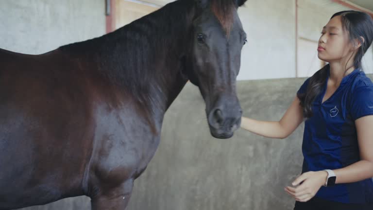 Beautiful girl care feeding her horse.