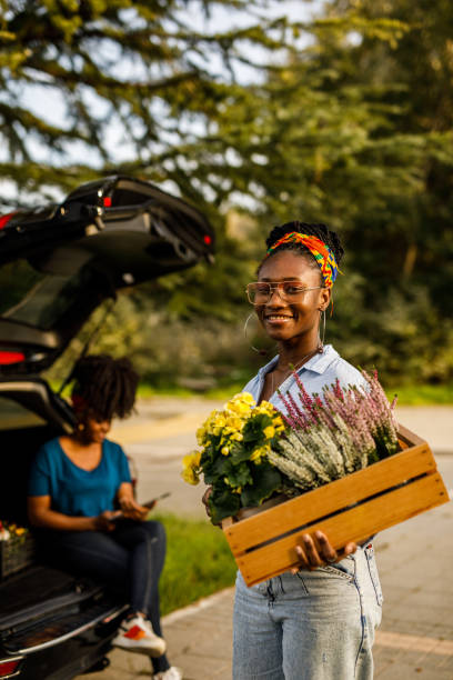 istock Florist holding a crate with potted flowers, smiling at camera 1465580662