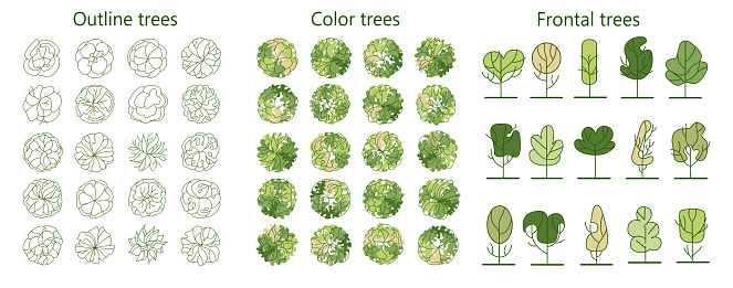 Example Of Tree Layout Tree For Architectural Floor Plans Entourage Design Various Trees ...