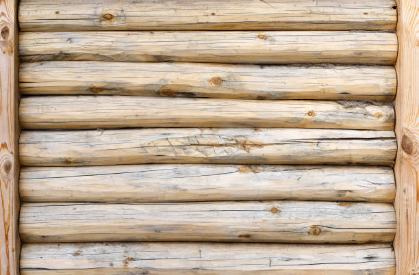 배경으로 블록 하우스의 심하게 갈라진 밝은 색의 나무 벽 - log log cabin wood knotted wood 뉴스 사진 이미지