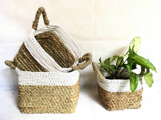 istock Multicolored Square Basket weaving with handle made from Pandanus odorifer or fragrant screw-pine on a white background for product photography 1465582971
