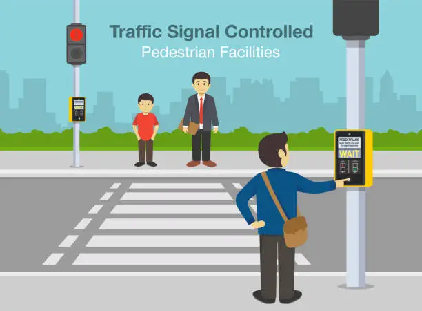 Vector illustration of Road crossing with a traffic light. Traffic signal controlled pedestrian facilities.