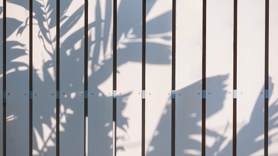 Background of white wooden fence wall with sunlight and palm branch shadow on surface
