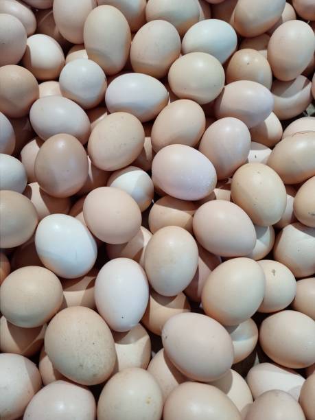 istock Just harvested chicken egg in the farm 1465591557