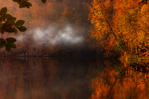 autumn landscape. beautiful reflection of trees on the lake. Yedigoller Bolu