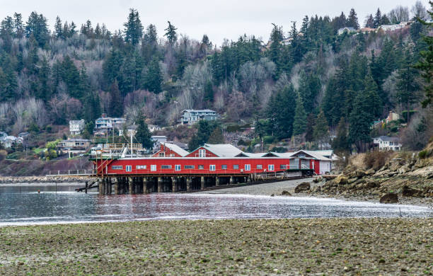istock Lynnwood Low Tide Shoreline 4 1465592244