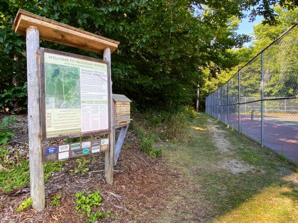 istock Vaughan Woods in Hallowell, Maine 1465592528