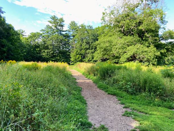 istock Vaughan’s Woods Hiking Trail 1465592815