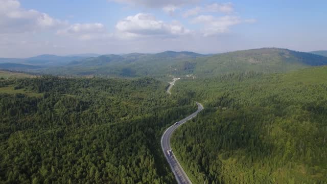 Aerial Drone View: Flight over pine tree forest and country road in sunny day