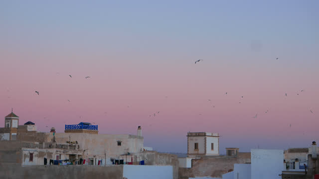 Essaouira city sunset