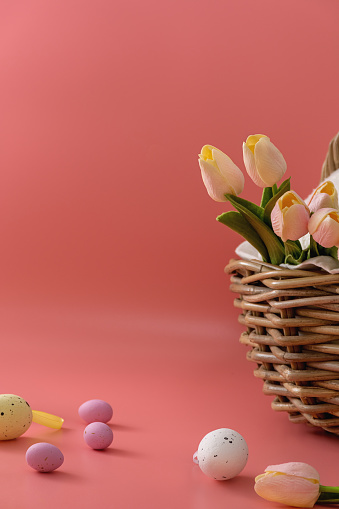 Greeting card for Easter. Basket with tulips and colorful eggs on a red background. Happy holidays. Copy space