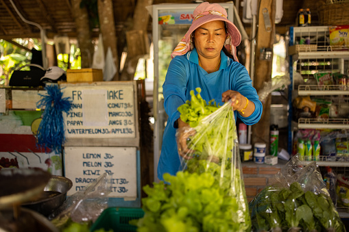Asian woman packing fresh lettuce salad from farm in plastic bags..