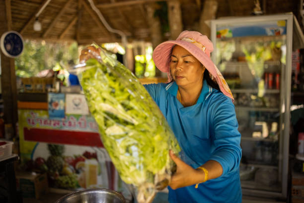Asian woman packing fresh lettuce salad from farm in plastic bags..