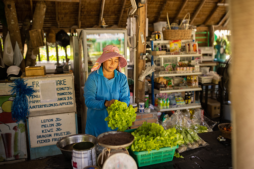 Asian woman cleaning and preparing fresh lettuce salad from farm for sale.
