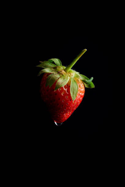 strawberry on black background stock photo