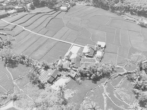 Black and white photo bird's eye view of vast agricultural land in the Cikancung area - Indonesia.