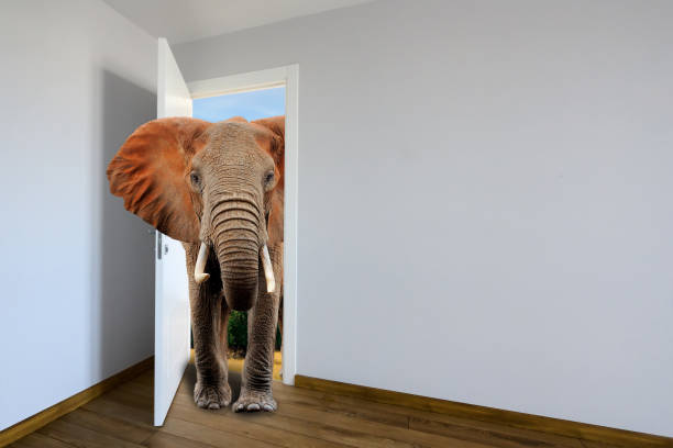 Elephants entering a door. Animal watching from a wall. Ð¡hild's imagination or a dream stock photo