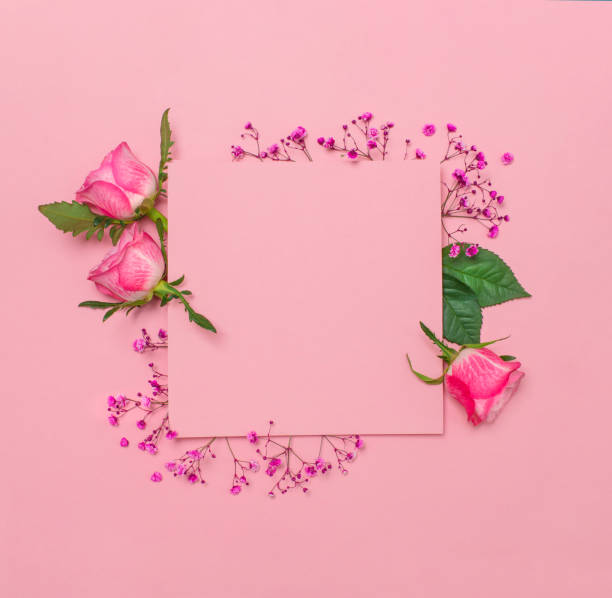 istock Minimal mock up. Pink paper with copy space over pink gypsophila and roses flowers. 1465623708