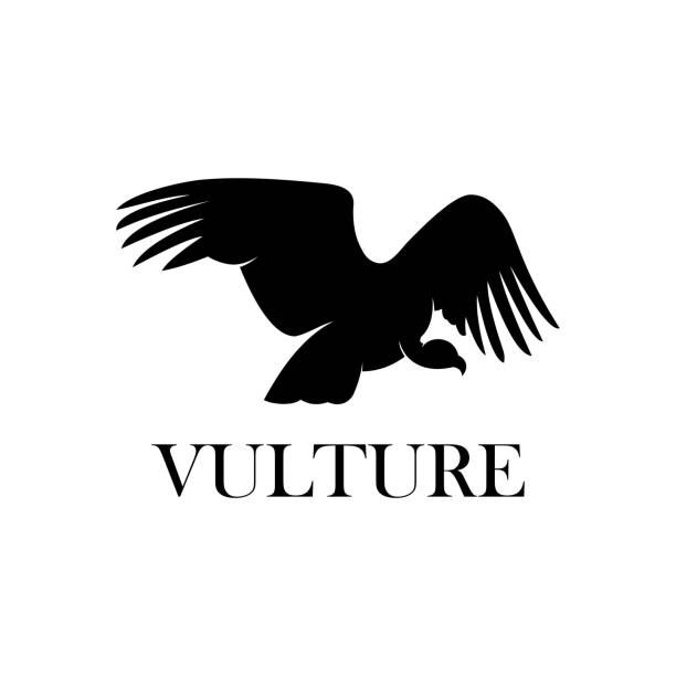 stockillustraties, clipart, cartoons en iconen met vulture logo - gier