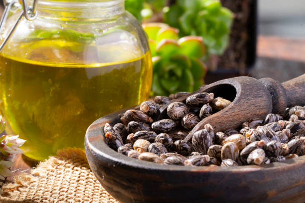 istock Castor grains and oil on the table, close-up image 1465625587
