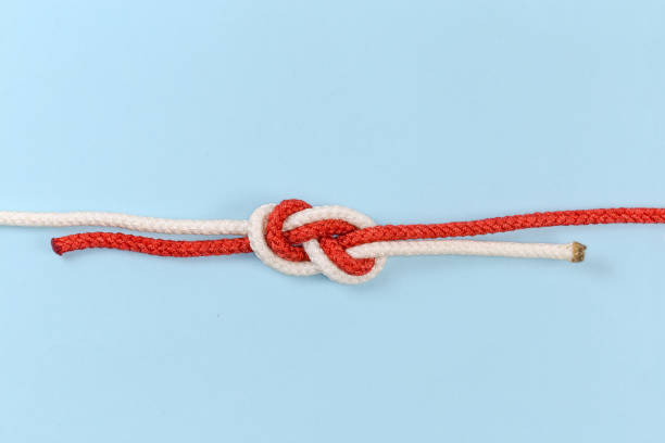 istock Rope knot Flemish bend on a blue background 1465625777