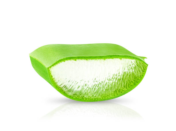 istock Aloe Vera leaf isolated on white background. 1465626245